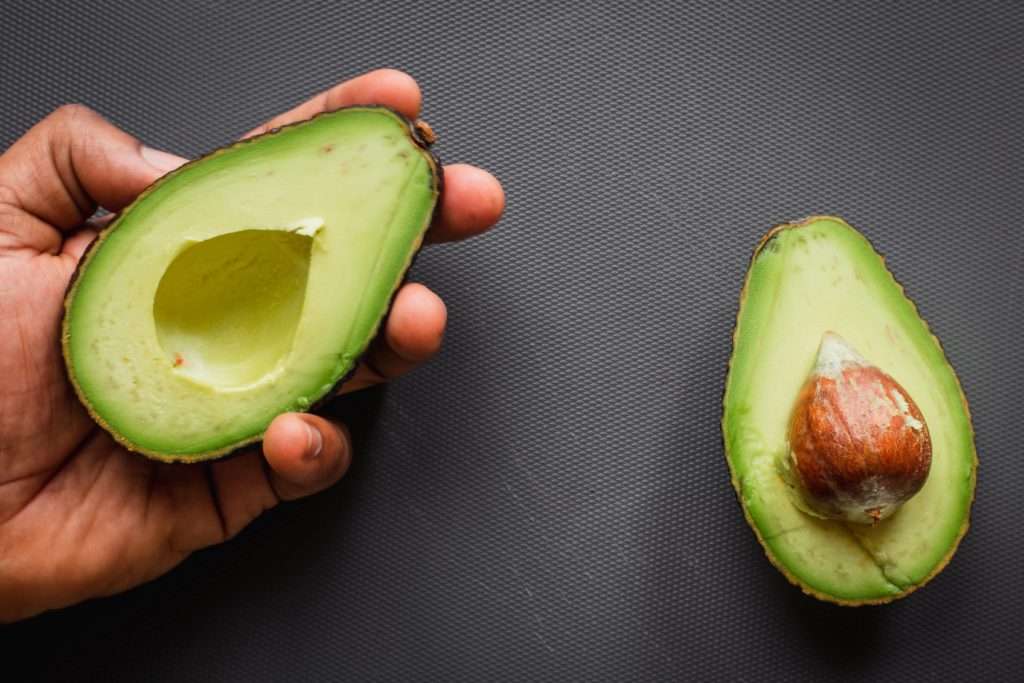 Avocado the good fats